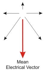 cardiac electrical vectors