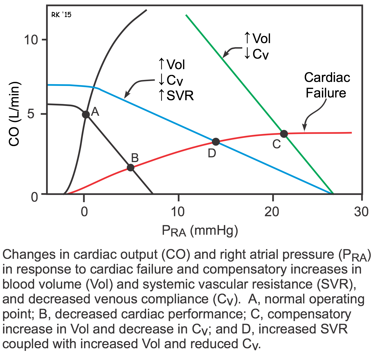 effects of heart failure on cardiac and systemic vascular function curves