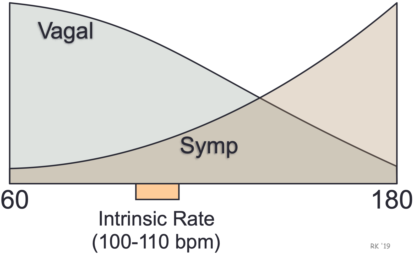 Autonomic control of SA node