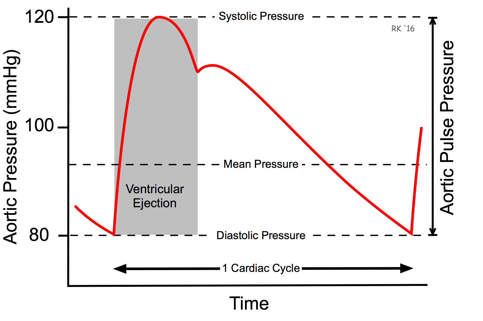 Aortic pulse pressure