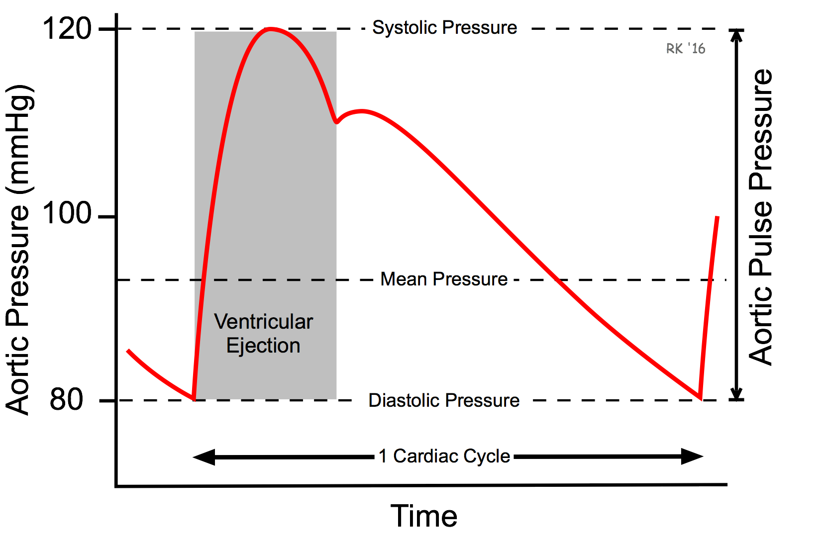 CV Physiology Arterial Blood Pressure