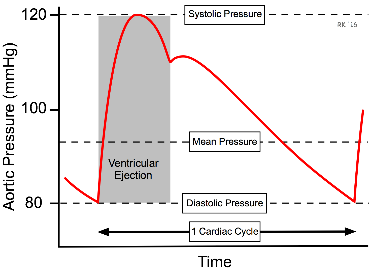 Arterial pressure pulse