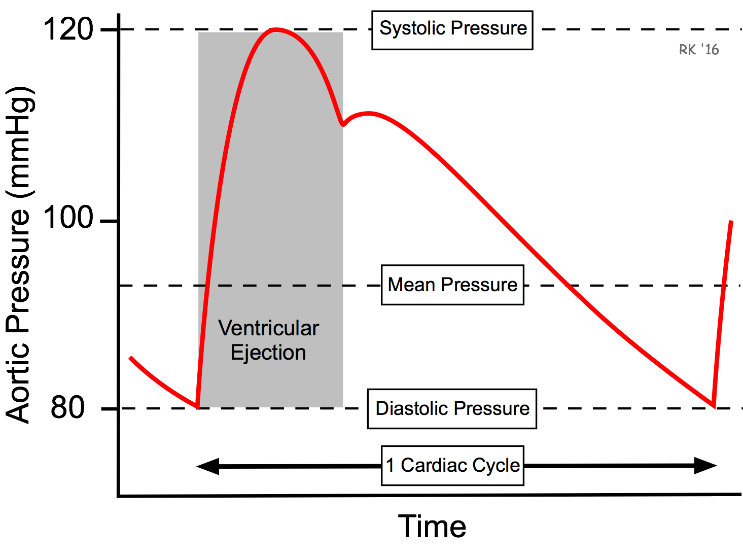 CV Physiology Mean Arterial Pressure