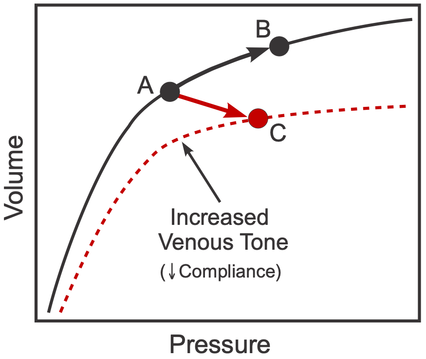 venous compliance