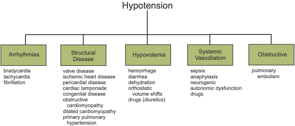 Causes of hypotension