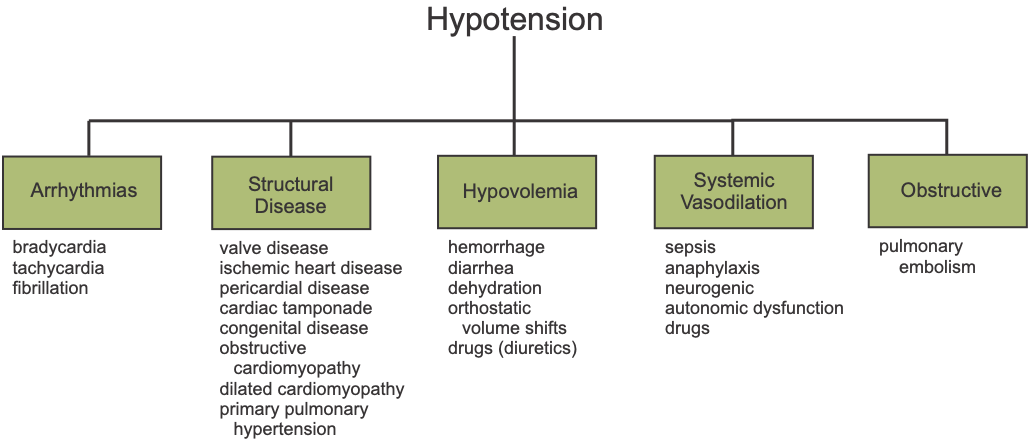 Define hypotension deals