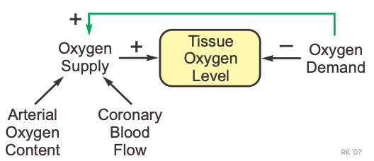 Myocardial oxygen supply/demand