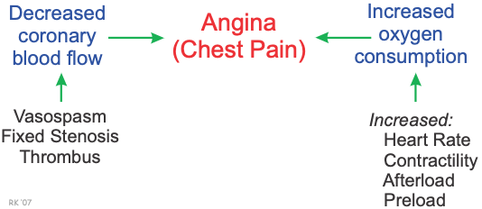 Causes of angina