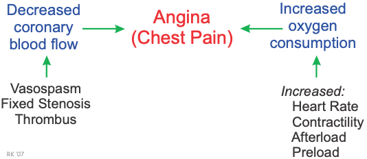 CV Physiology