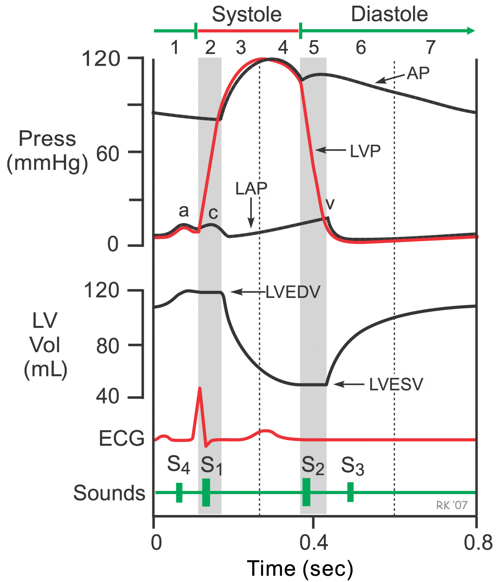 Pressure in the left outlet ventricle