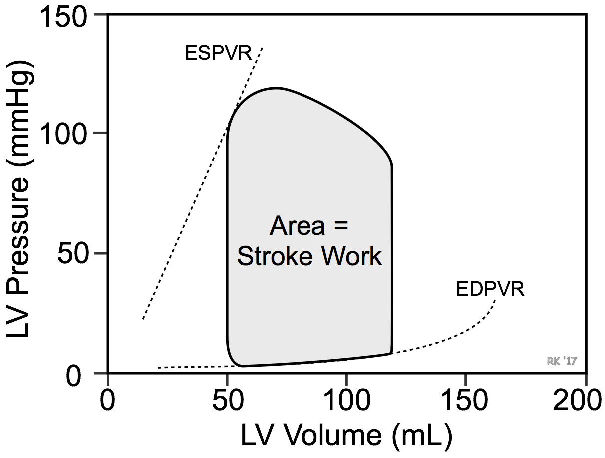 Ventricular pressure-volume loop stroke work