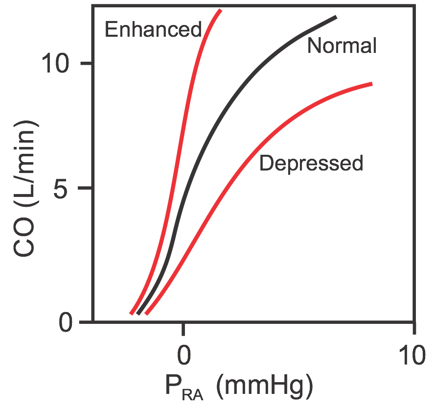 cardiac function curves