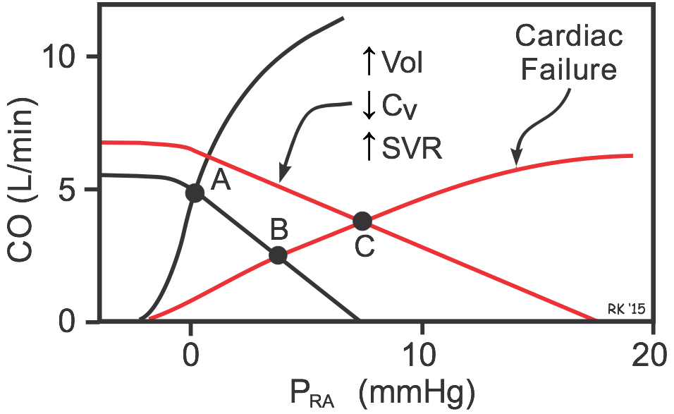 Effects of heart failure on cardiac and systemic function curves