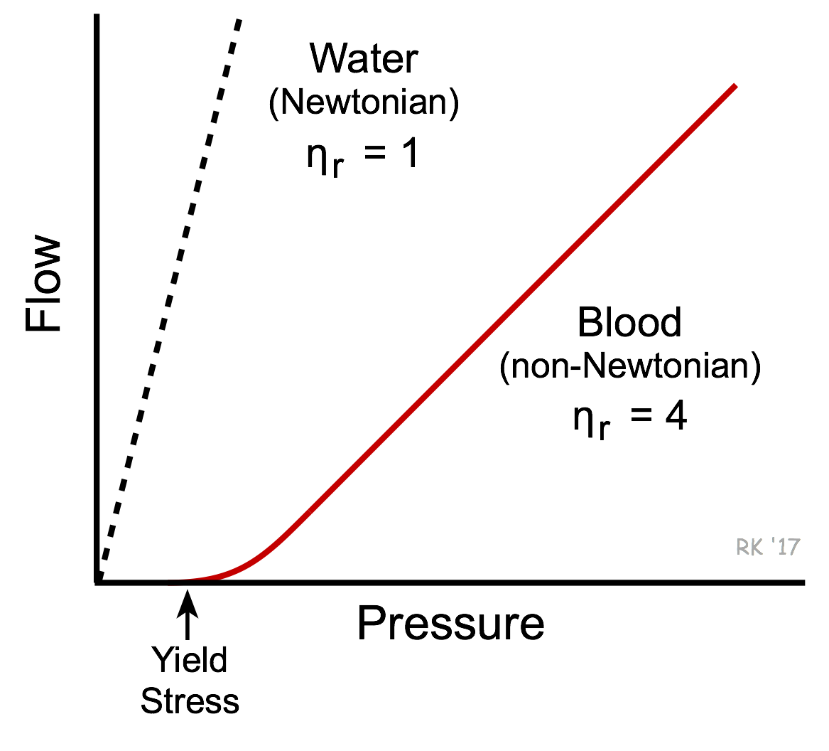 Blood viscosity