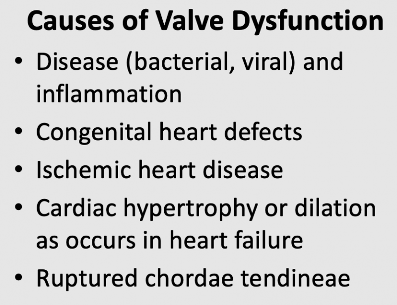 Valve disease causes