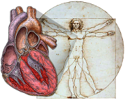 Image for Cardiovascular Physiology Concepts, Richard E Klabunde PhD